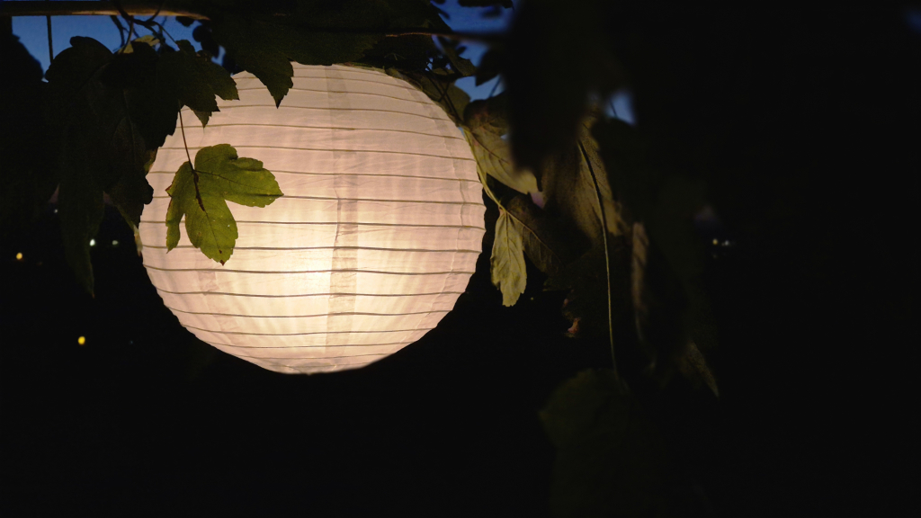 20260813_212156.jpg