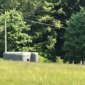 20250612_102256.jpg