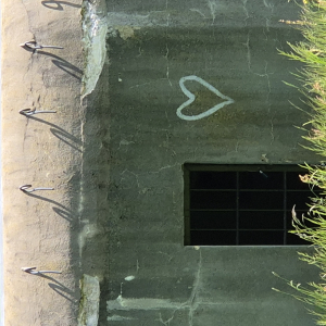 20250612_104449.jpg
