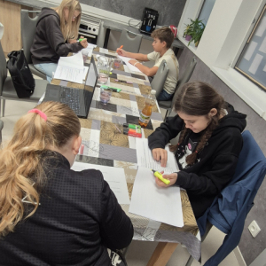 ZÚ DIVADELNÍ KROUŽEK