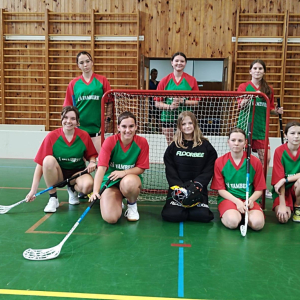 OKRESNÍ KOLO VE FLORBALE - 17. 10.2025