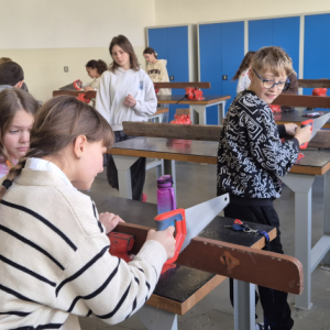 PRACOVNÍ ČINNOSTI V 5.A - ŘEŽEME A PILUJEME