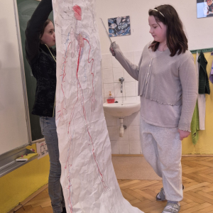 Přírodověda v 5. ročníku - ČLOVĚK