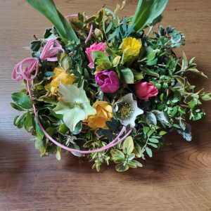 Okresní kolo floristické soutěže v Častolovicích